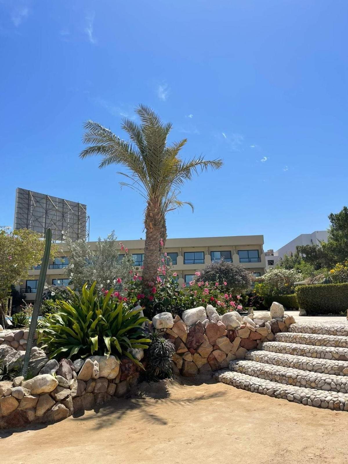 For Rent 202 Appartamento Hurghada